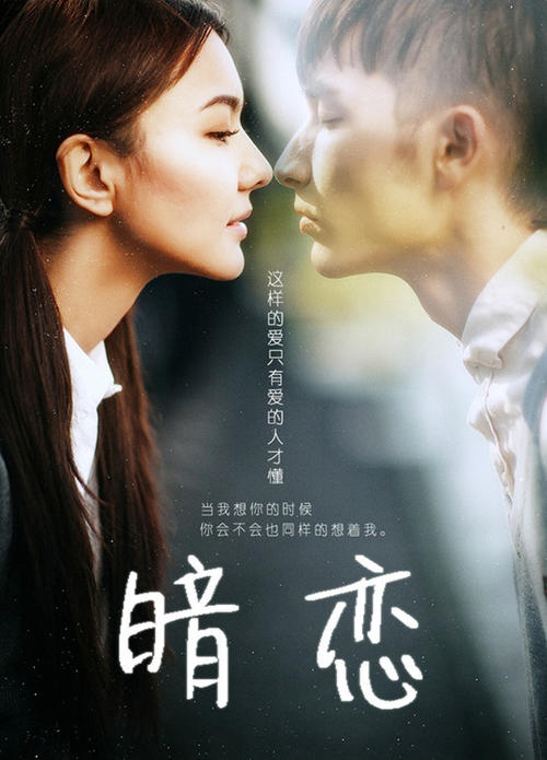 中国护照买个假的多少钱